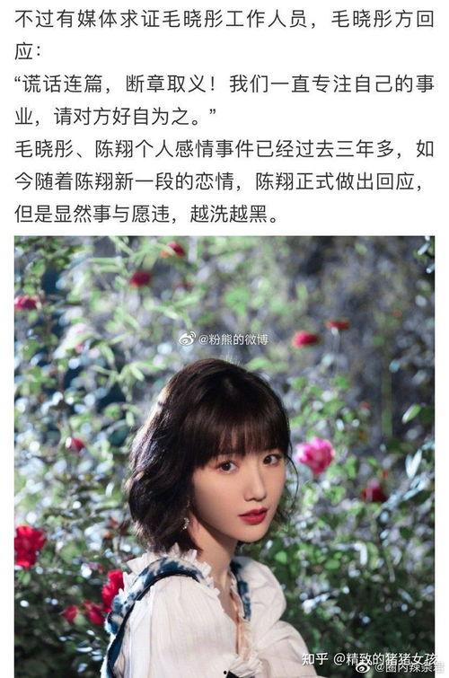 吃大瓜了娱乐圈,揭秘明星幕后故事